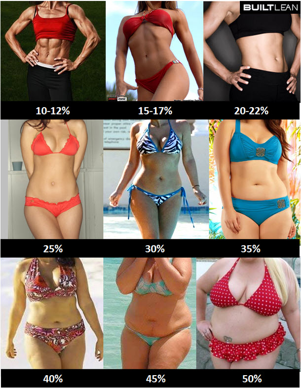 Body Fat Range For Women 40